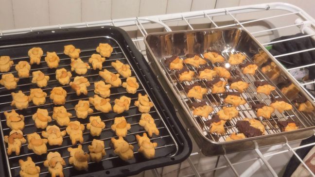 Two trays of cookies sitting on top of a drying rack indoors. The drying rack is under the air conditioner. One tray has bear and rabbit cookies while the other has stars.